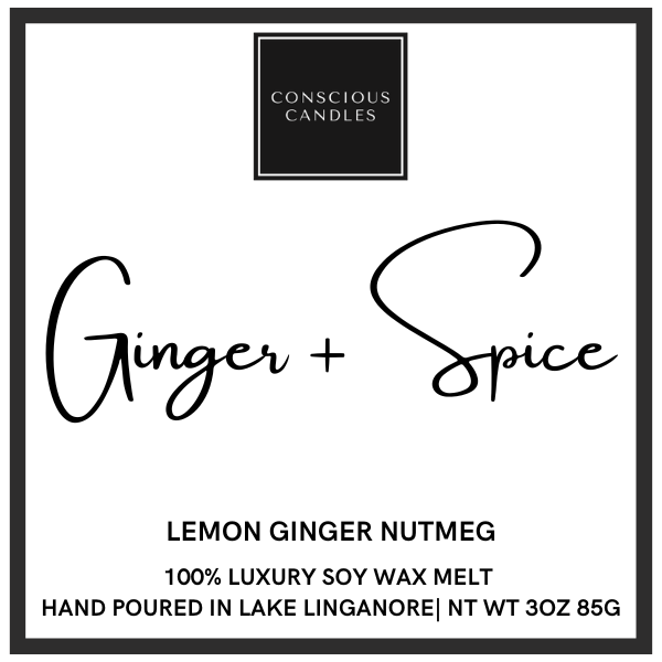 Fall Collection - Ginger & Spice Wax Melt