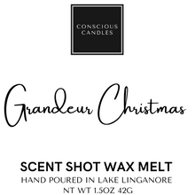 Load image into Gallery viewer, Scent Shot Wax Melts
