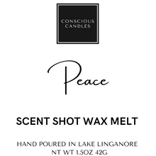 Load image into Gallery viewer, Scent Shot Wax Melts
