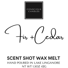 Load image into Gallery viewer, Scent Shot Wax Melts
