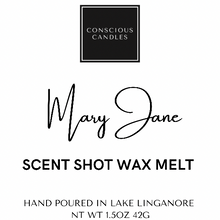 Load image into Gallery viewer, Scent Shot Wax Melts
